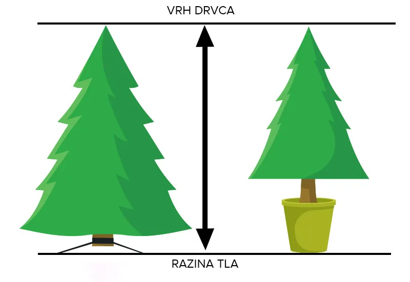 Mjerenje i njega drvca u tegli
